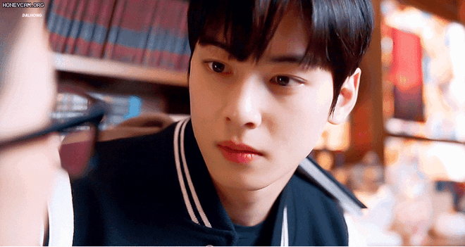 cha eun woo
