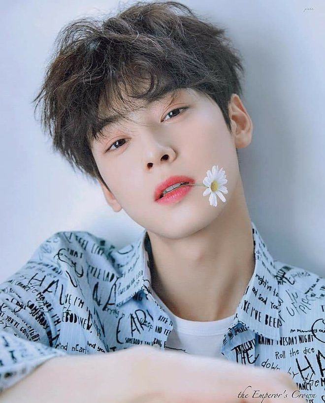 cha eun woo