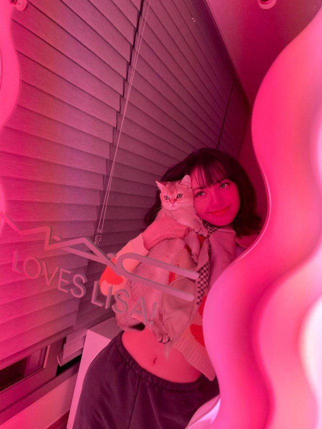 BLACKPINK Jennie Lisa