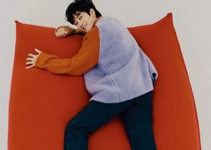 ahn bo hyun