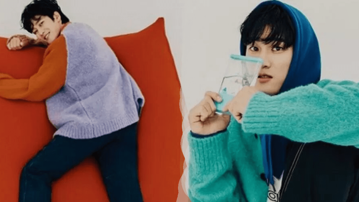 ahn bo hyun