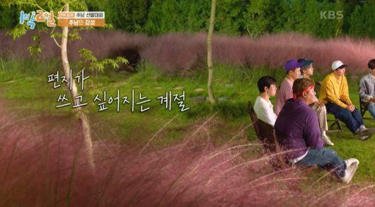 kim seon ho days night
