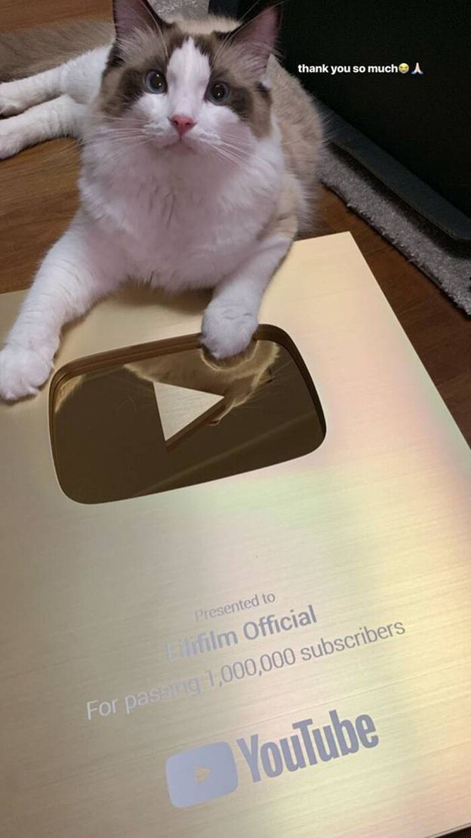 lisa youtube