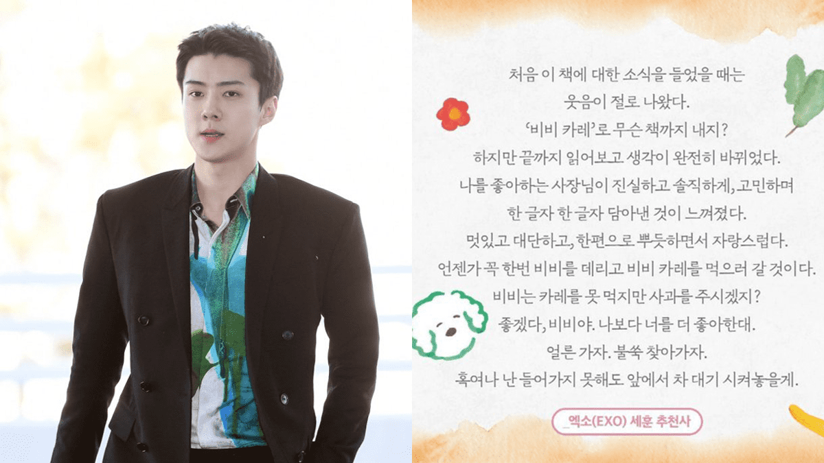 exo sehun thumbnail
