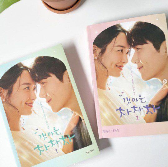 The Script Book of “Hometown Cha Cha Cha”