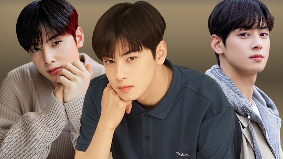 cha eun woo