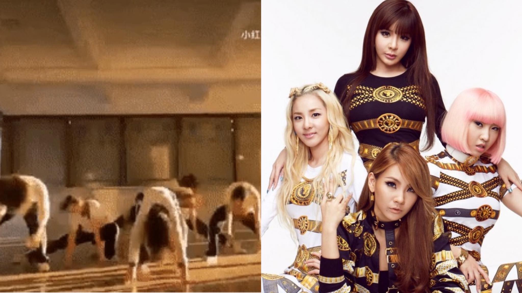 2ne1-thumbnail