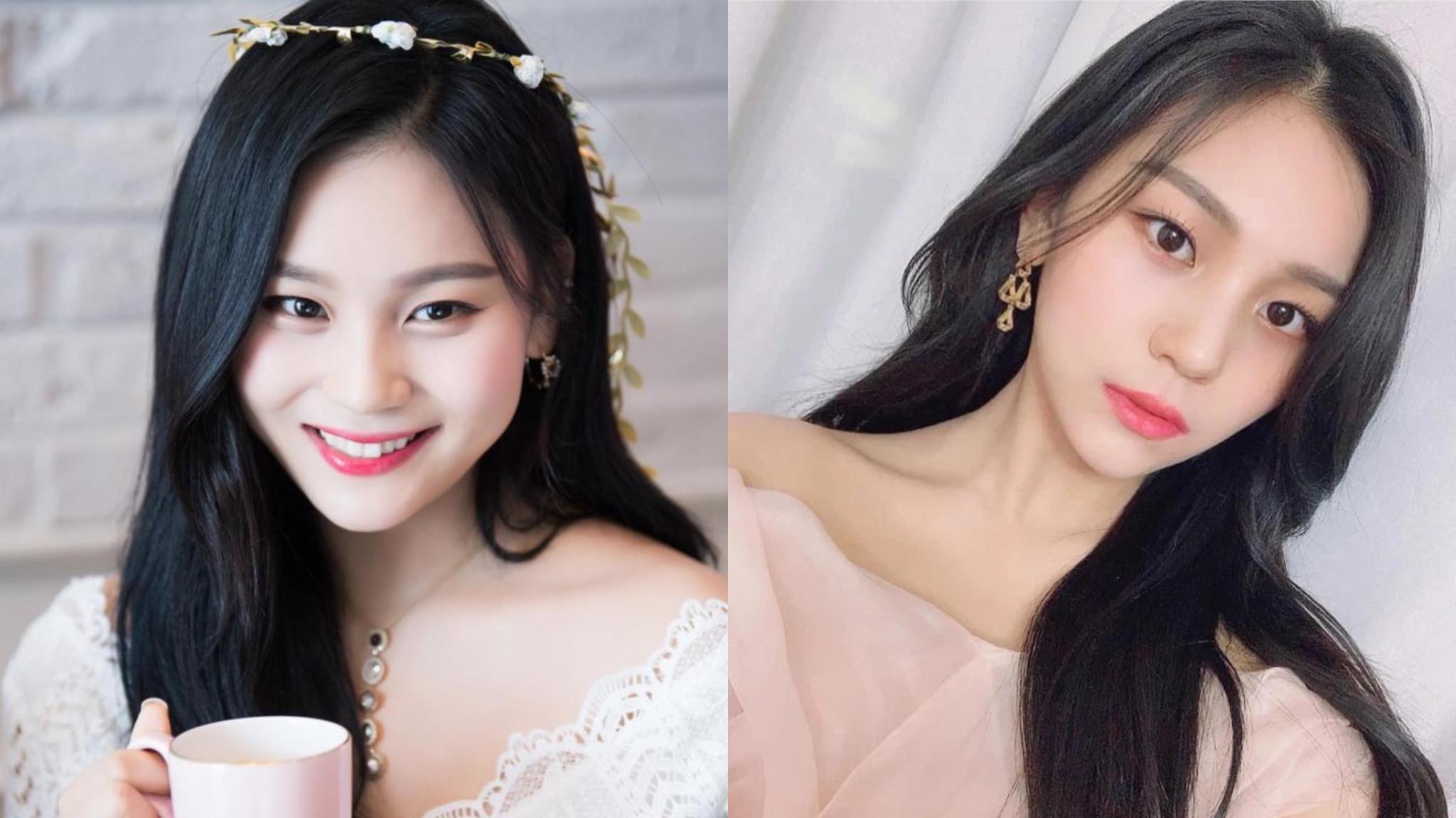 viviz umji