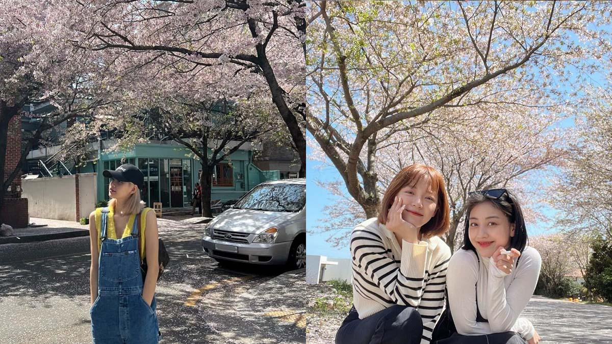 Lisa, Se Jeong, Jihyo
