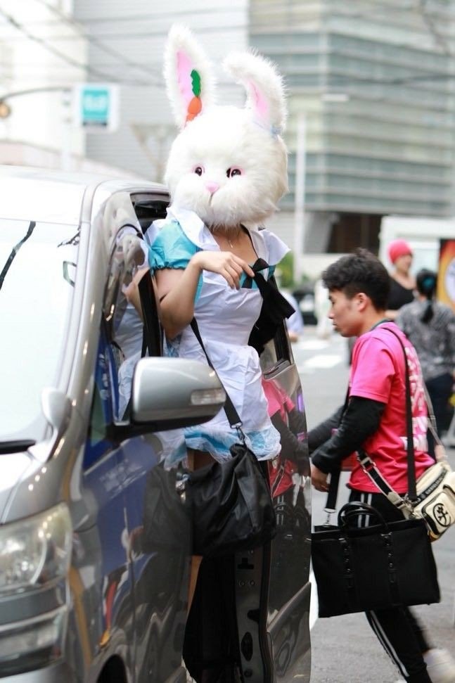 Pink Fantasy Daewang