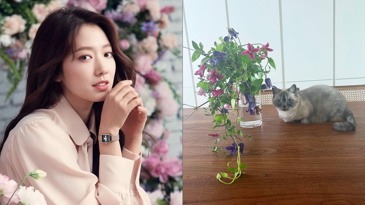 Park Shin-hye