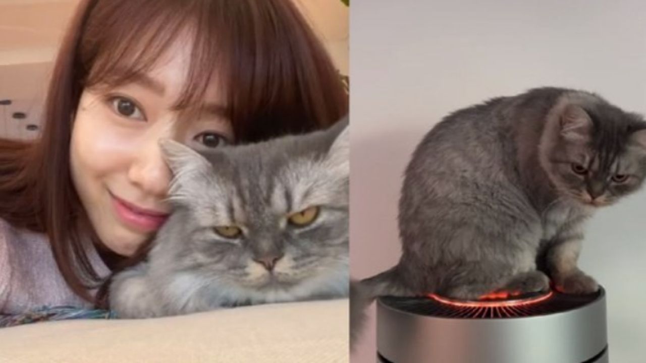 park-shin-hye-thumbnail