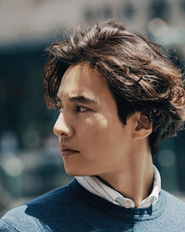 Won Bin Lee Young Ae