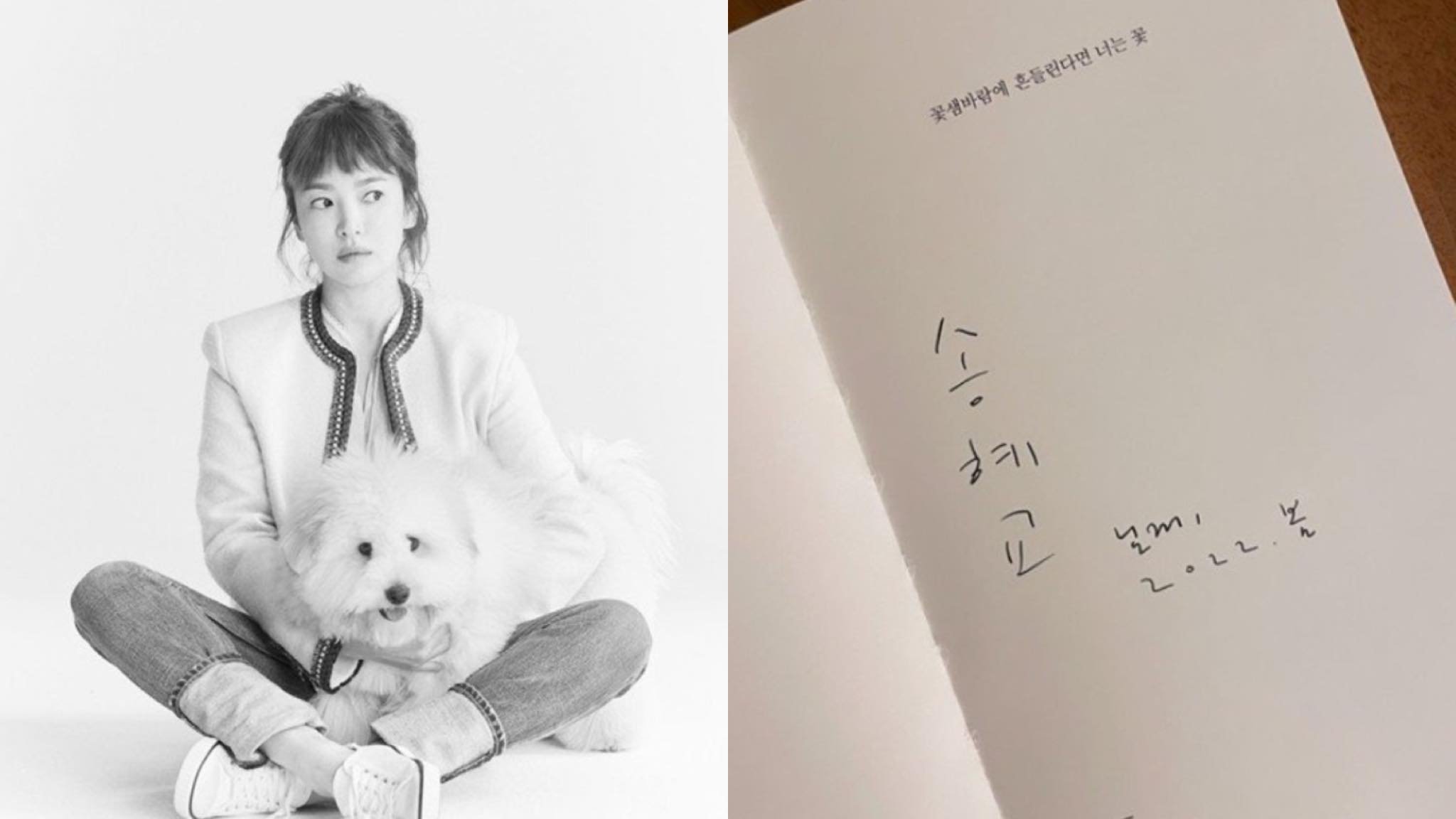 song-hye-kyo-thumbnail