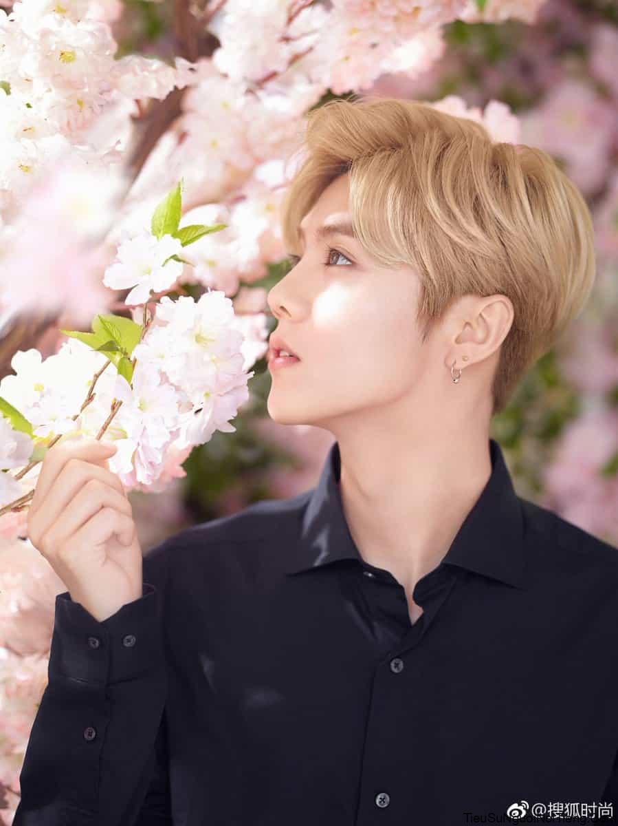 Luhan