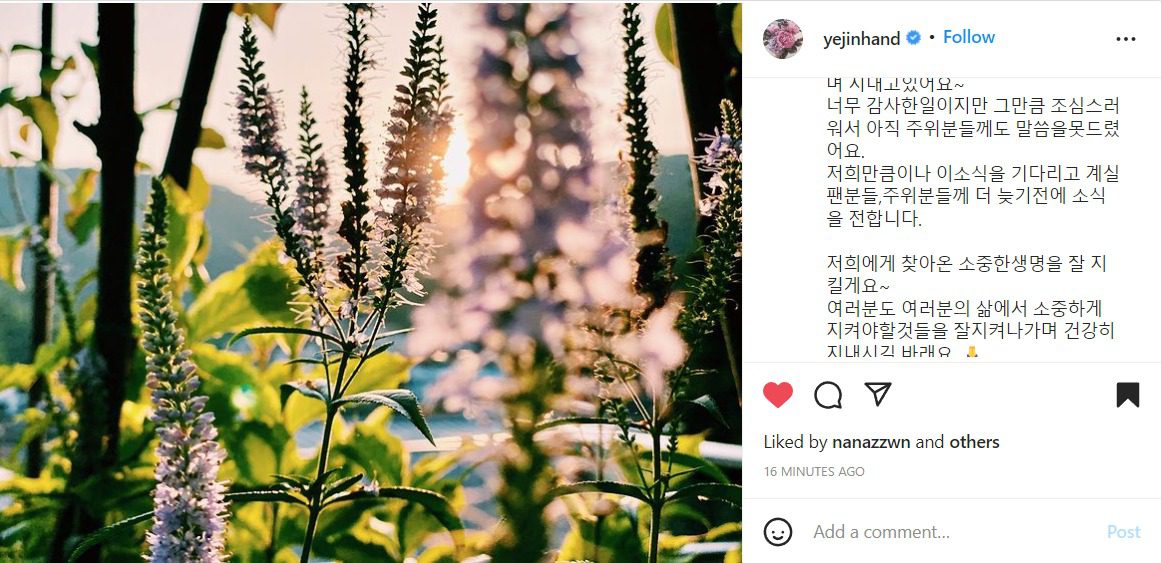son ye jin instagram