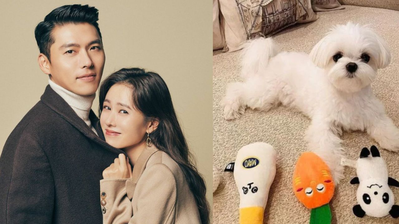 son ye jin hyun bin thummbnail