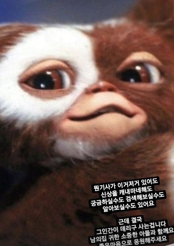 jang nara jang sung won