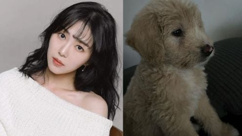 aoa mina