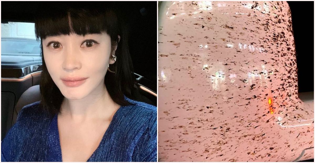 Kim Hye-soo