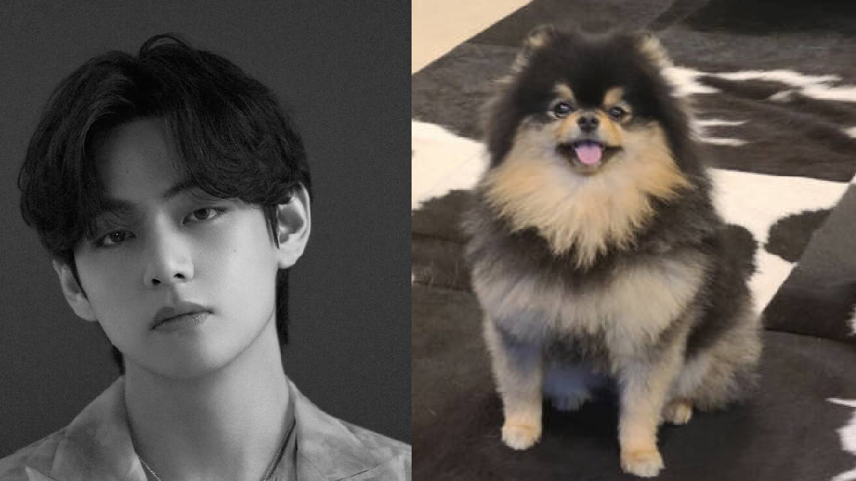 BTS V