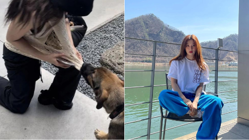 Seulgi thumbnail