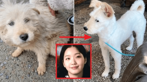 Kim Go-eun dog thumbnail