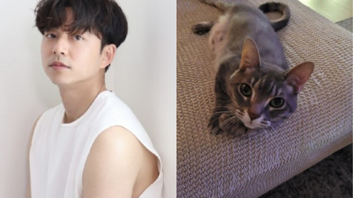 gong yoo thumbnail