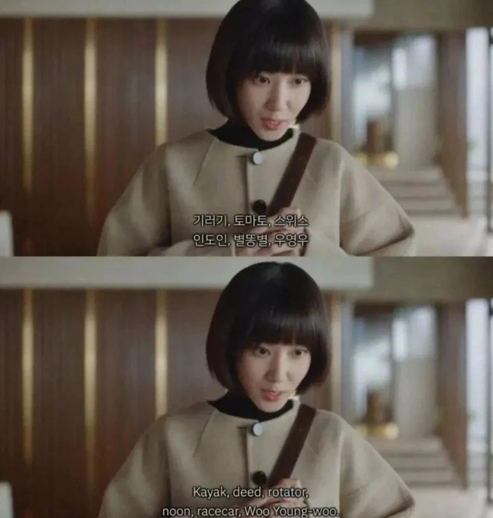 Extraordinary Attorney Woo