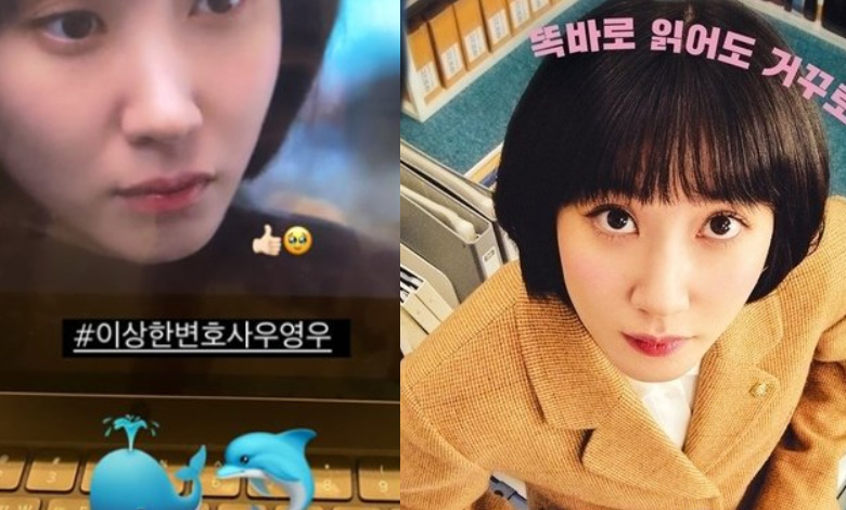 extraordinary attorney woo thumbnail