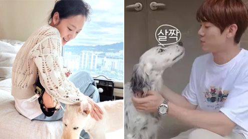 kim go eun yoo yeon seok thumbnail