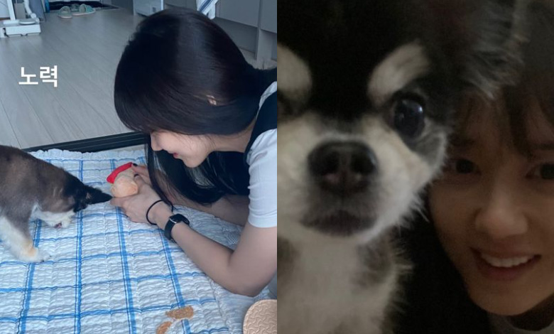 jang nara thumbnail