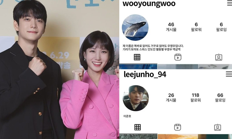 extraordinary attorney woo thumbnail