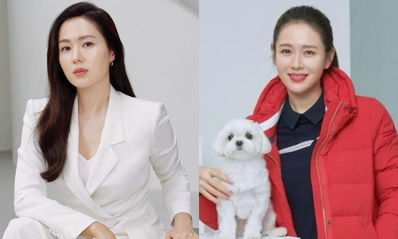 son ye jin