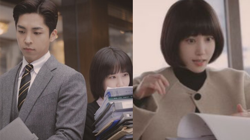 extraordinary attorney woo