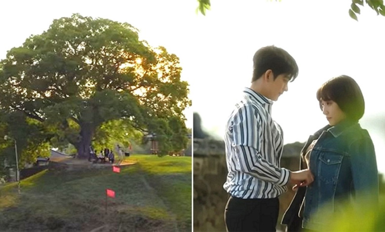 extraordinary attorney woo thumbnail