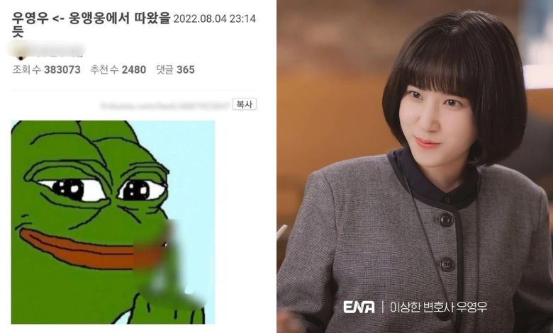 Extraordinary Attorney Woo