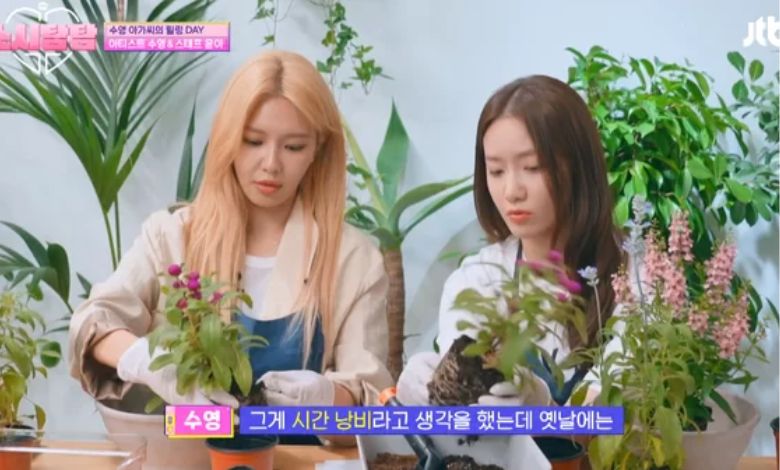 soshi tamtam thumbnail