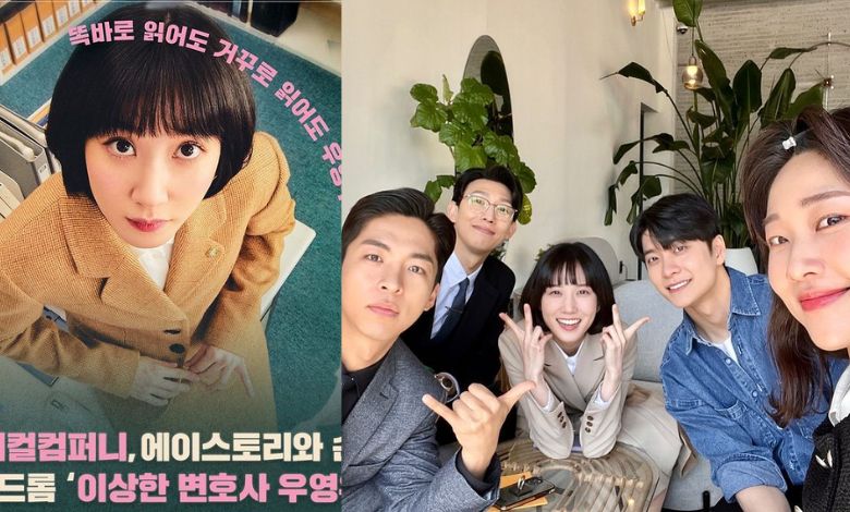 extraordinary attorney woo thumbnail