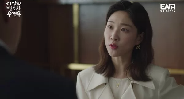 extraordinary attorney woo