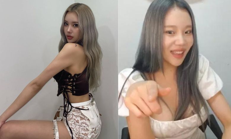 momoland jooe