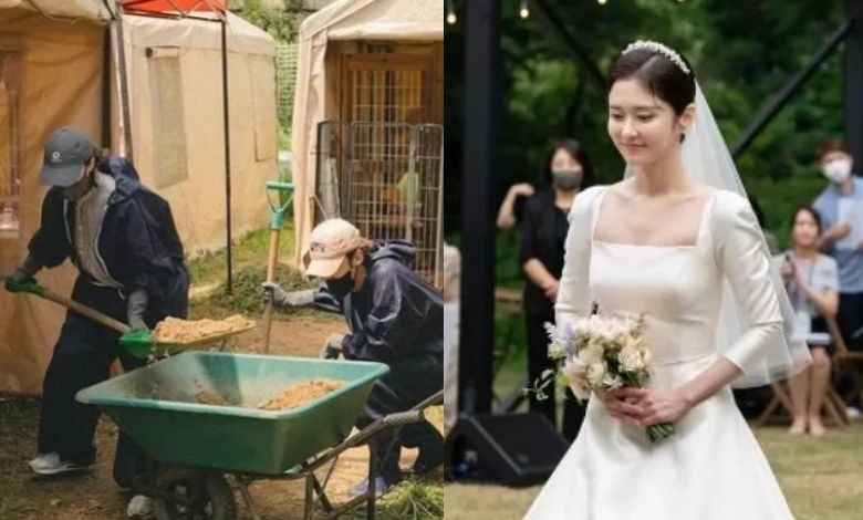 jang nara thumbnail