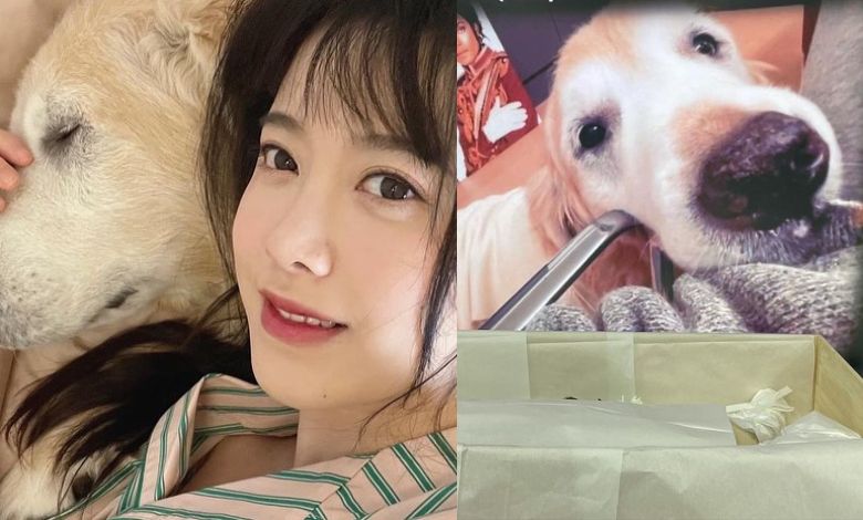 goo hye sun