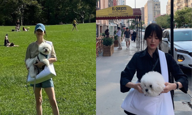 Song Hye-kyo thumbnail