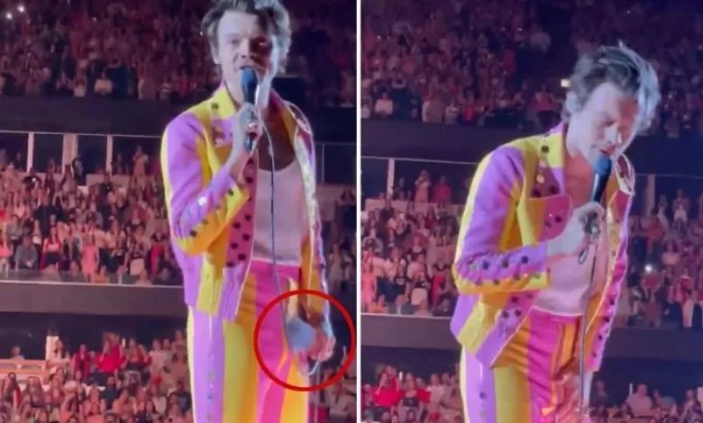 harry styles thumbnail