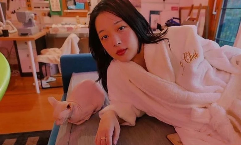 sulli thumbnail