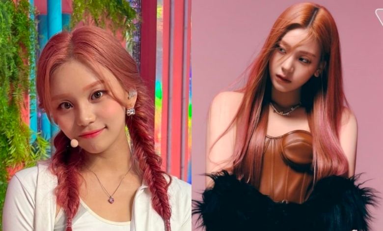 viviz umji thumbnail