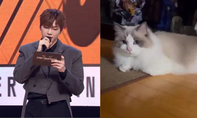 kang daniel