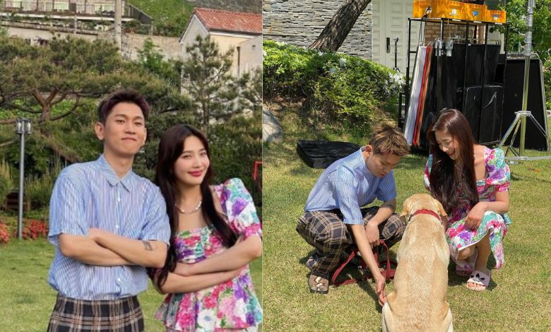 joy crush thumbnail