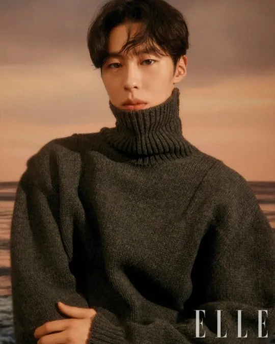 lee jae wook elle